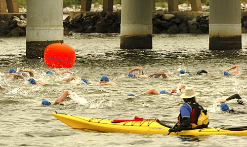 Chesapeake Bay Swim Support